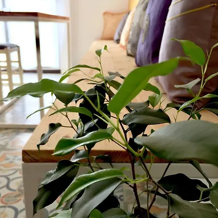 Amberyellowbnb