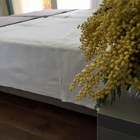 Panzió Amberyellowbnb Shkodra