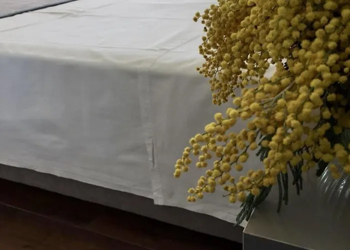 B&B Amberyellowbnb Shkodër